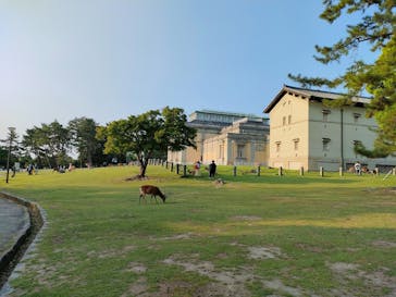 奈良国立博物館開館130年記念特別展「超 国宝―祈りのかがやきー」	に投稿された画像（2025/6/3）