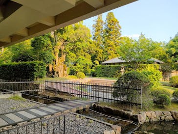 奈良国立博物館開館130年記念特別展「超 国宝―祈りのかがやきー」	に投稿された画像（2025/6/3）