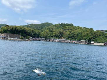 伊根湾めぐり遊覧船に投稿された画像（2025/6/3）