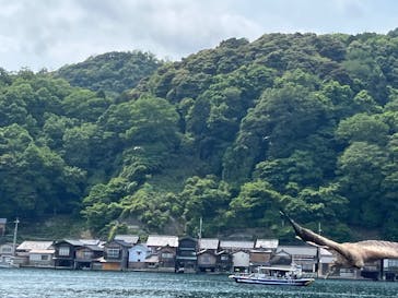 伊根湾めぐり遊覧船に投稿された画像（2025/6/3）