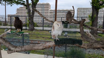 あらかわ遊園に投稿された画像（2025/6/3）