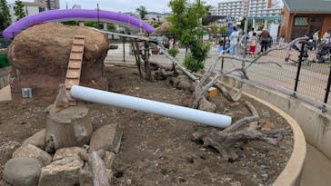 あらかわ遊園に投稿された画像（2025/6/3）