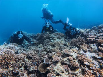 MARINE HOLICに投稿された画像（2025/6/3）