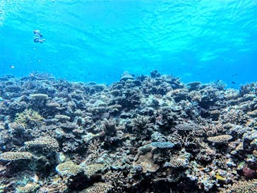 MARINE HOLICに投稿された画像（2025/6/3）