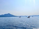 Ocean Days（オーシャンデイズ）に投稿された画像（2025/6/4）