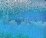 仙台うみの杜水族館に投稿された画像（2025/6/4）