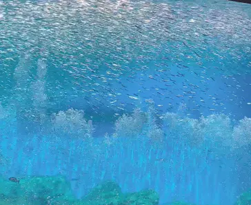 仙台うみの杜水族館に投稿された画像（2025/6/4）