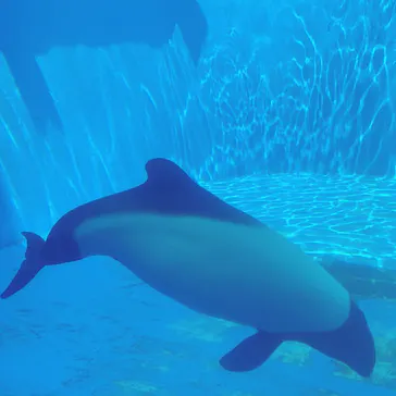 仙台うみの杜水族館に投稿された画像（2025/6/4）