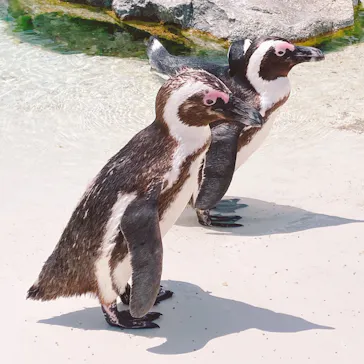 仙台うみの杜水族館に投稿された画像（2025/6/4）