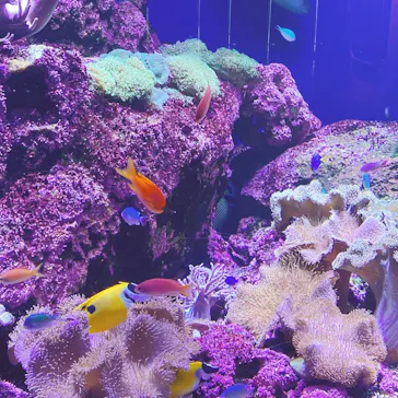 仙台うみの杜水族館に投稿された画像（2025/6/4）