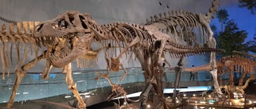 福井県立恐竜博物館に投稿された画像（2025/6/4）