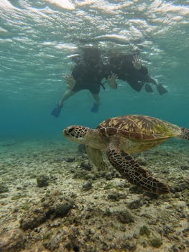 Nami宮古島に投稿された画像（2025/6/4）