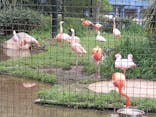千葉市動物公園に投稿された画像（2025/6/4）