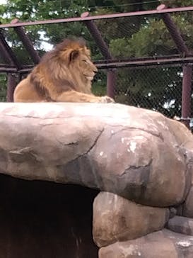 千葉市動物公園に投稿された画像（2025/6/4）