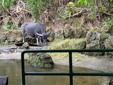 ビオスの丘に投稿された画像（2025/6/4）