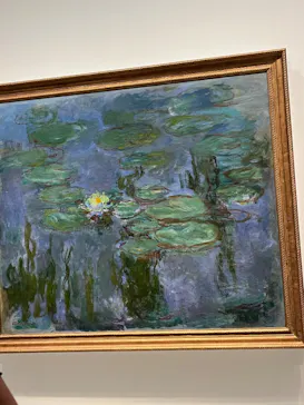 モネ　睡蓮のときに投稿された画像（2025/6/4）