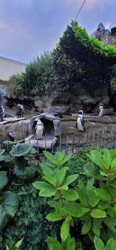 サンシャイン水族館に投稿された画像（2025/6/4）