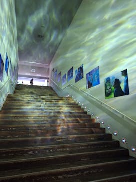 すみだ水族館に投稿された画像（2025/6/4）