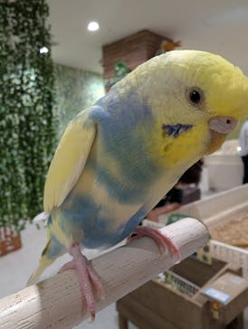 アニタッチアクアシティお台場に投稿された画像（2025/6/4）