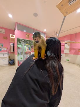 アニタッチアクアシティお台場に投稿された画像（2025/6/4）