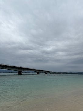 ジャンボツアーズに投稿された画像（2025/6/4）