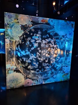 マクセル アクアパーク品川に投稿された画像（2025/6/4）