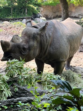 天王寺動物園に投稿された画像（2025/6/4）