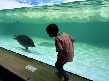 滋賀県立琵琶湖博物館に投稿された画像（2025/6/4）