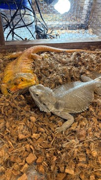 NARA IKIMONO MUSEUMに投稿された画像（2025/6/4）