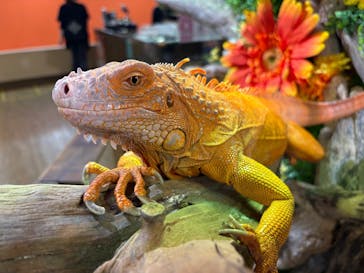 NARA IKIMONO MUSEUMに投稿された画像（2025/6/4）