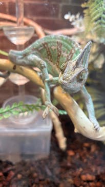 NARA IKIMONO MUSEUMに投稿された画像（2025/6/4）