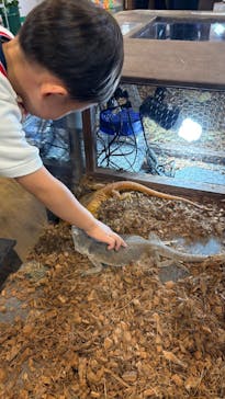 NARA IKIMONO MUSEUMに投稿された画像（2025/6/4）