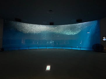 名古屋港水族館に投稿された画像（2025/6/4）