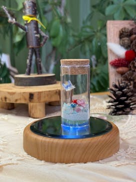 モビリティリゾートもてぎに投稿された画像（2025/6/4）