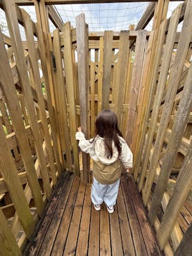 モビリティリゾートもてぎに投稿された画像（2025/6/4）