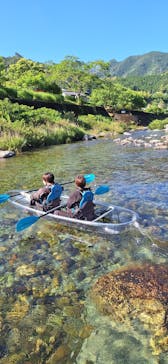 仁淀川アウトドアセンターに投稿された画像（2025/6/4）