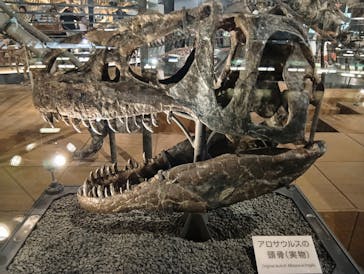 福井県立恐竜博物館に投稿された画像（2025/6/4）