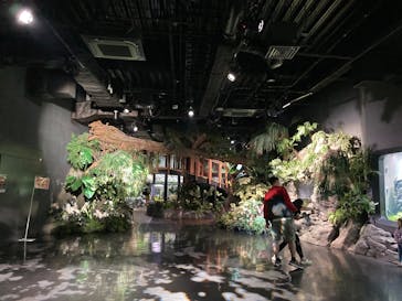 DMMかりゆし水族館に投稿された画像（2025/6/4）