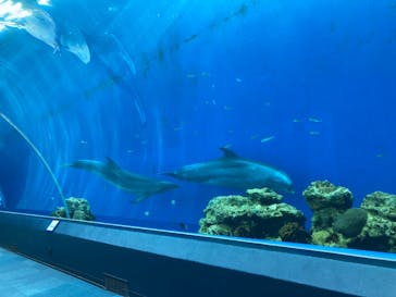 横浜・八景島シーパラダイスに投稿された画像（2025/6/5）