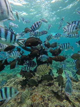 武藤潜水に投稿された画像（2025/6/5）