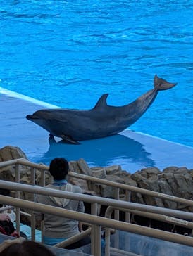 名古屋港水族館に投稿された画像（2025/6/5）