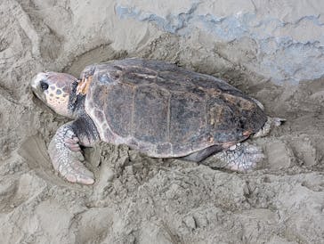 名古屋港水族館に投稿された画像（2025/6/5）