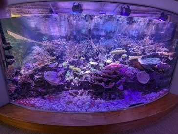 名古屋港水族館に投稿された画像（2025/6/5）
