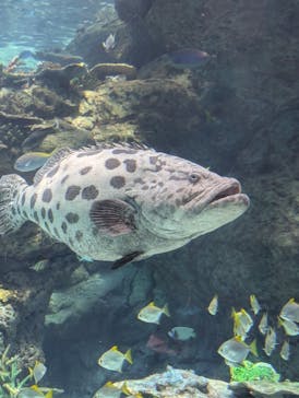 名古屋港水族館に投稿された画像（2025/6/5）