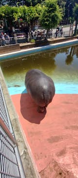 東武動物公園に投稿された画像（2025/6/5）