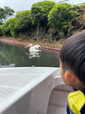 伊豆シャボテン動物公園に投稿された画像（2025/6/5）