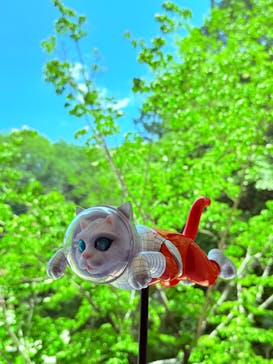 ハイパーミュージアム飯能に投稿された画像（2025/6/5）