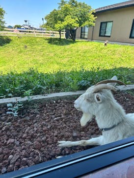 熊谷天然温泉　花湯スパリゾートに投稿された画像（2025/6/5）
