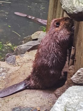 長崎バイオパークに投稿された画像（2025/6/5）