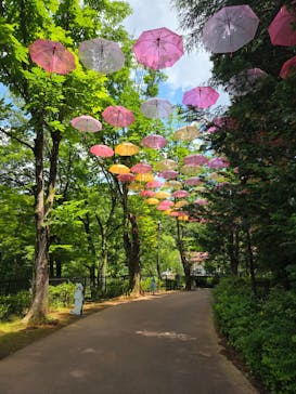 ムーミンバレーパークに投稿された画像（2025/6/5）